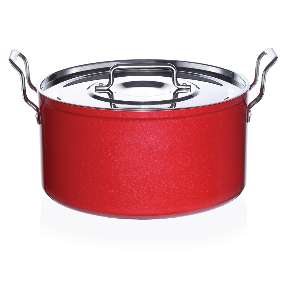 Premier Non Stick Dum Biryani Pot with Stainless Steel Lid 13 Litre -  Premier Kitchen